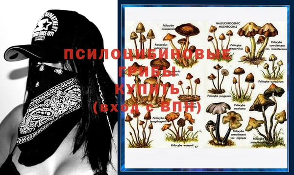 мяу мяу кристалл Бугульма