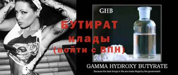 ПСИЛОЦИБИНОВЫЕ ГРИБЫ Богданович