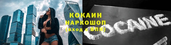 мескалин Бородино