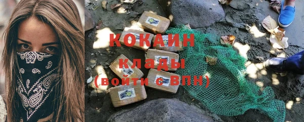 молекула духа Бронницы