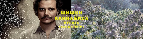 молекула духа Бронницы