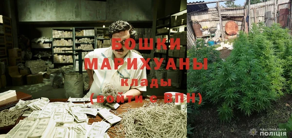 молекула духа Бронницы