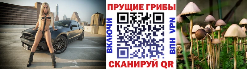 Псилоцибиновые грибы Psilocybe  Наро-Фоминск 